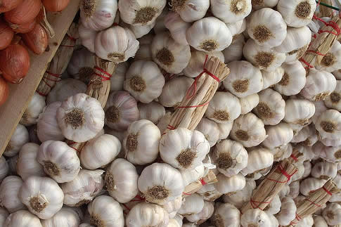 Manfaat Khasiat Bawang Putih