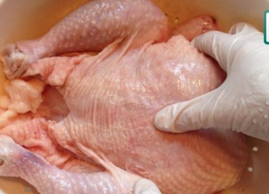 Cara Mengolah dan Memasak Daging Ayam Dengan Benar