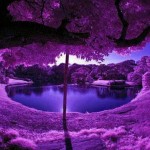 Karakter Orang yang Suka Warna Ungu