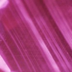 Kepribadian Warna Pink (Merah Jambu)