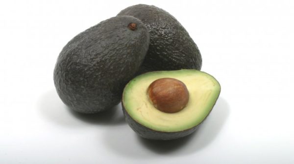Manfaat Buah Alpukat Bagi Ibu Hamil